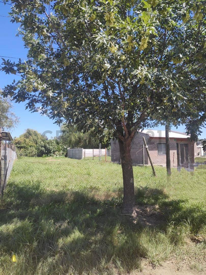 VENTA TERRENO EN ANDINO
