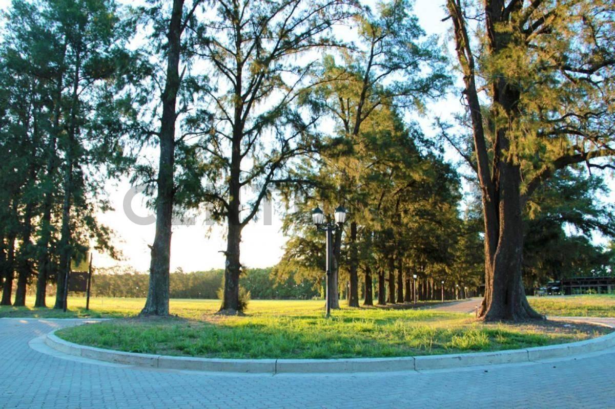 Venta - Terreno - Azahares del Paraná - Fighiera 4