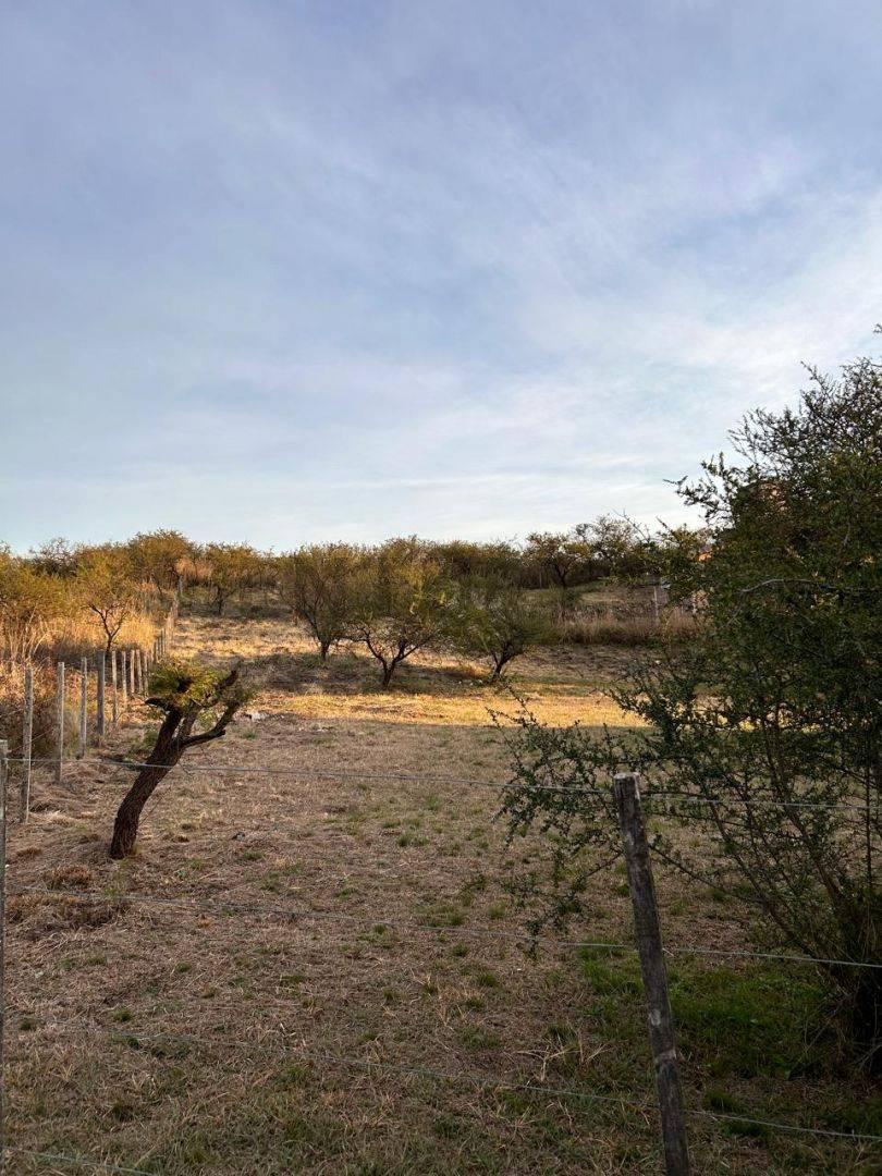 Terreno en Venta, en Santa Monica. Santa Rosa de Calamuchita 5