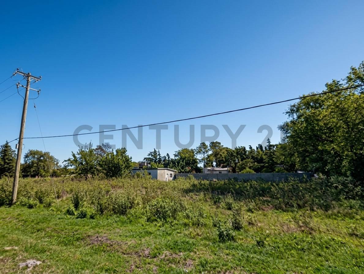 Foto de VENTA - LOTE - TERRENO - 372 M2 - CAÑADA DE GOMEZ, imagen 1