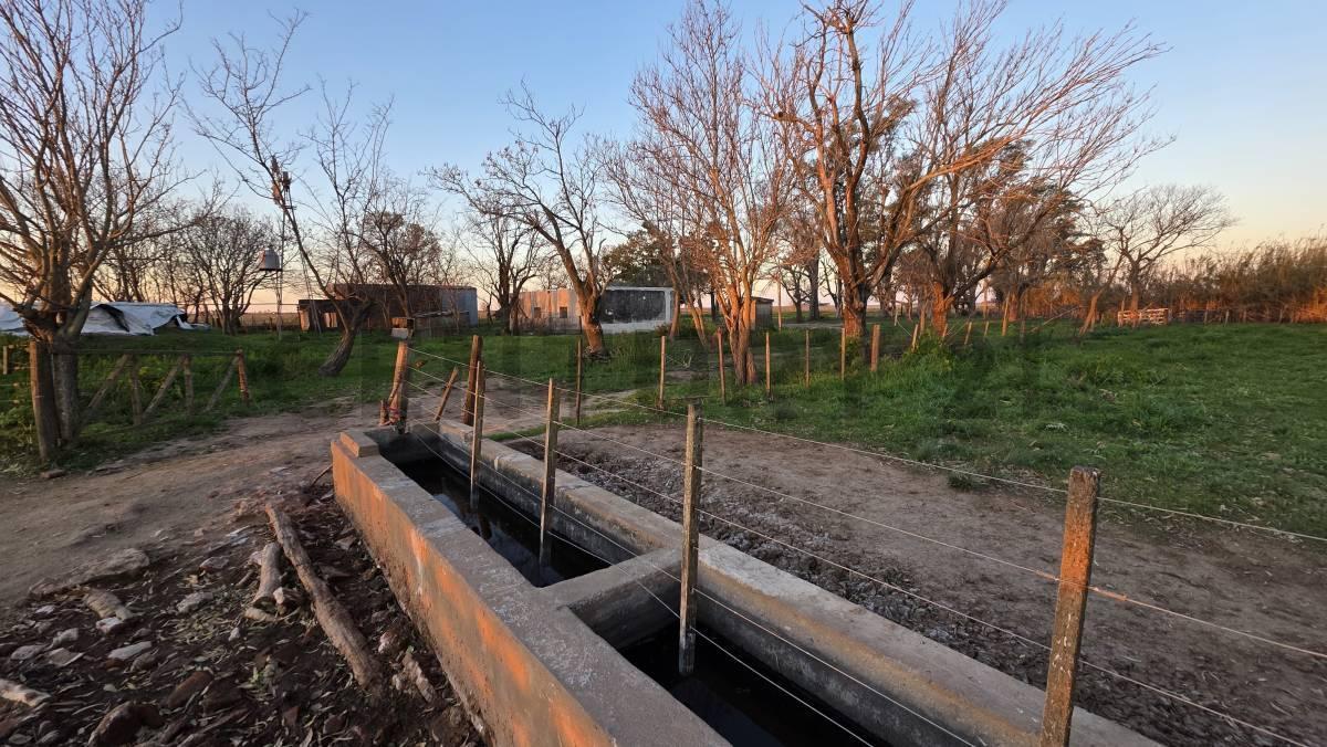 Foto de CAMPO 310 ha MIXTAS - EN VENTA ! AGRICOLA / GANADERO - ZONA NÚCLEO, imagen 2