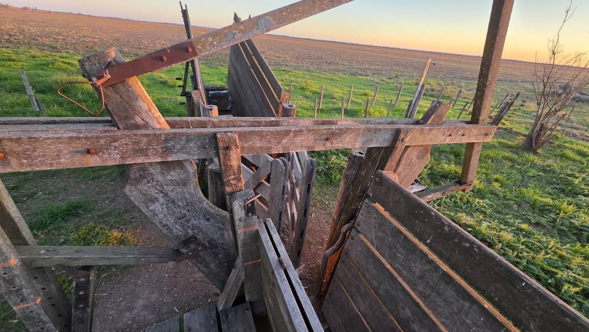 Foto de CAMPO 310 ha MIXTAS - EN VENTA ! AGRICOLA / GANADERO - ZONA NÚCLEO, imagen 3