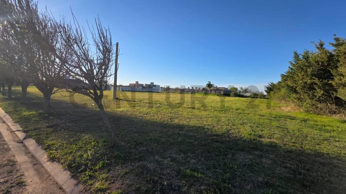 Foto de EN VENTA LOTE ESQUINA BARRIO LOMA DEL ESTE - CAÑADA DE GÓMEZ, imagen 1