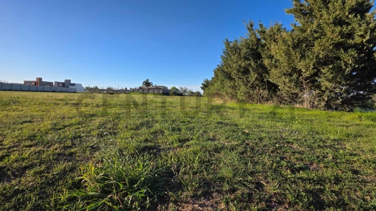 Foto de TERRENO EN VENTA BARRIO LOMA DEL ESTE - CAÑADA DE GÓMEZ - LOTE 105, imagen 5