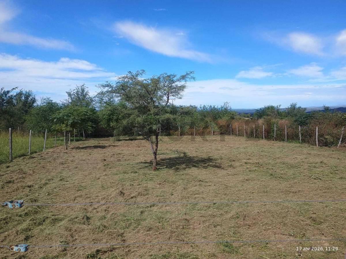 Foto de TERRENO EN VENTA !! AMBOY - CALAMUCHITA - 450 M2 - LUZ, AGUA !!!, imagen 1