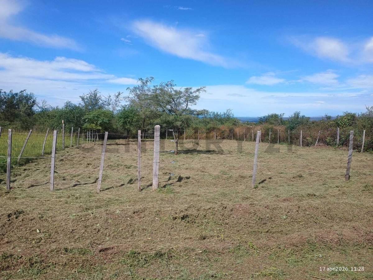 Foto de TERRENO EN VENTA !! AMBOY - CALAMUCHITA - 450 M2 - LUZ, AGUA !!!, imagen 4