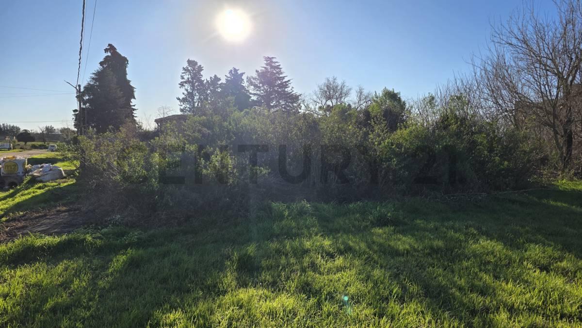 Foto de VENTA - LOTE - TERRENO - 372 M2 - CAÑADA DE GOMEZ, imagen 5