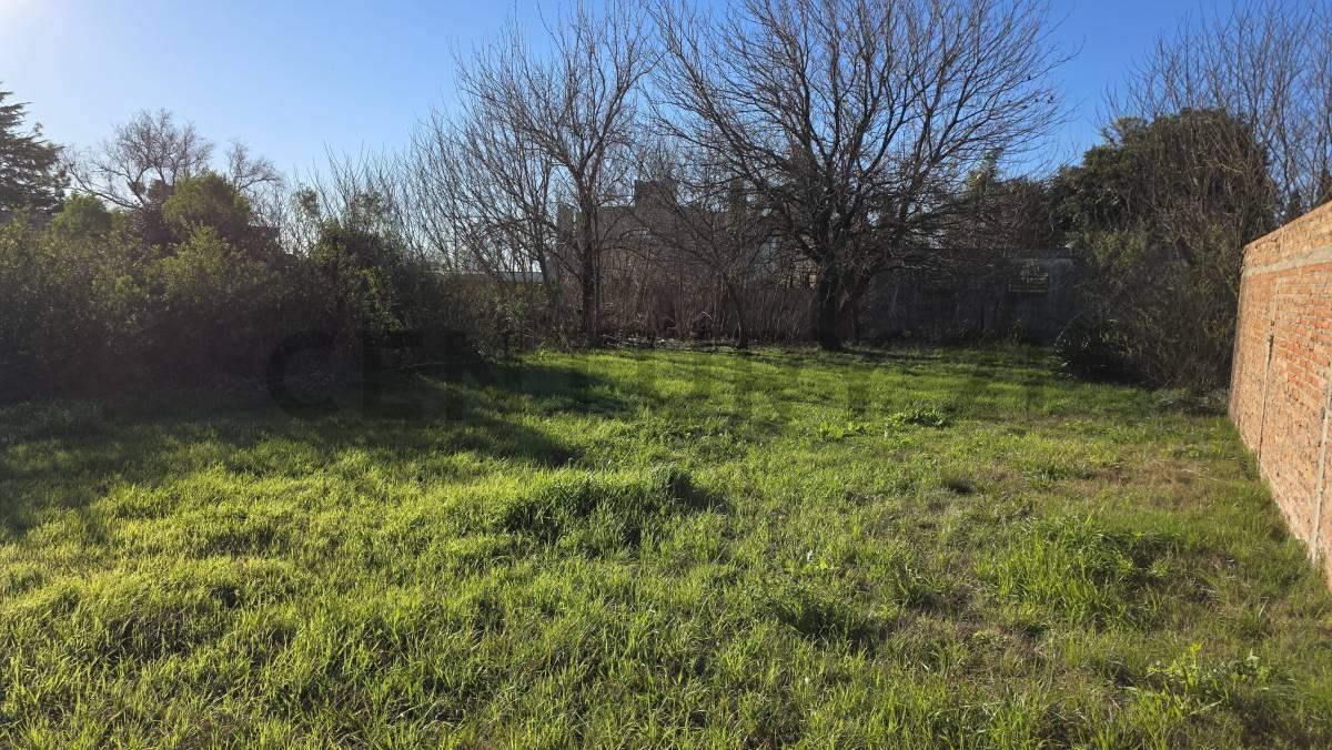Foto de VENTA - LOTE - TERRENO - 372 M2 - CAÑADA DE GOMEZ, imagen 1