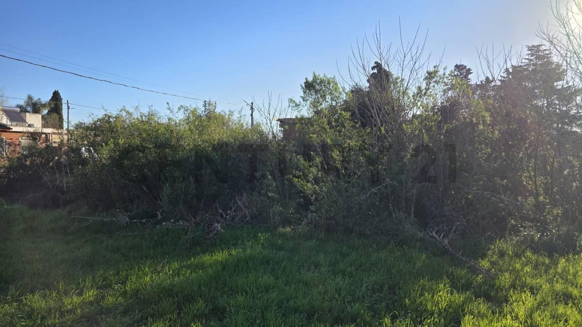 Foto de VENTA - LOTE - TERRENO - 372 M2 - CAÑADA DE GOMEZ, imagen 4