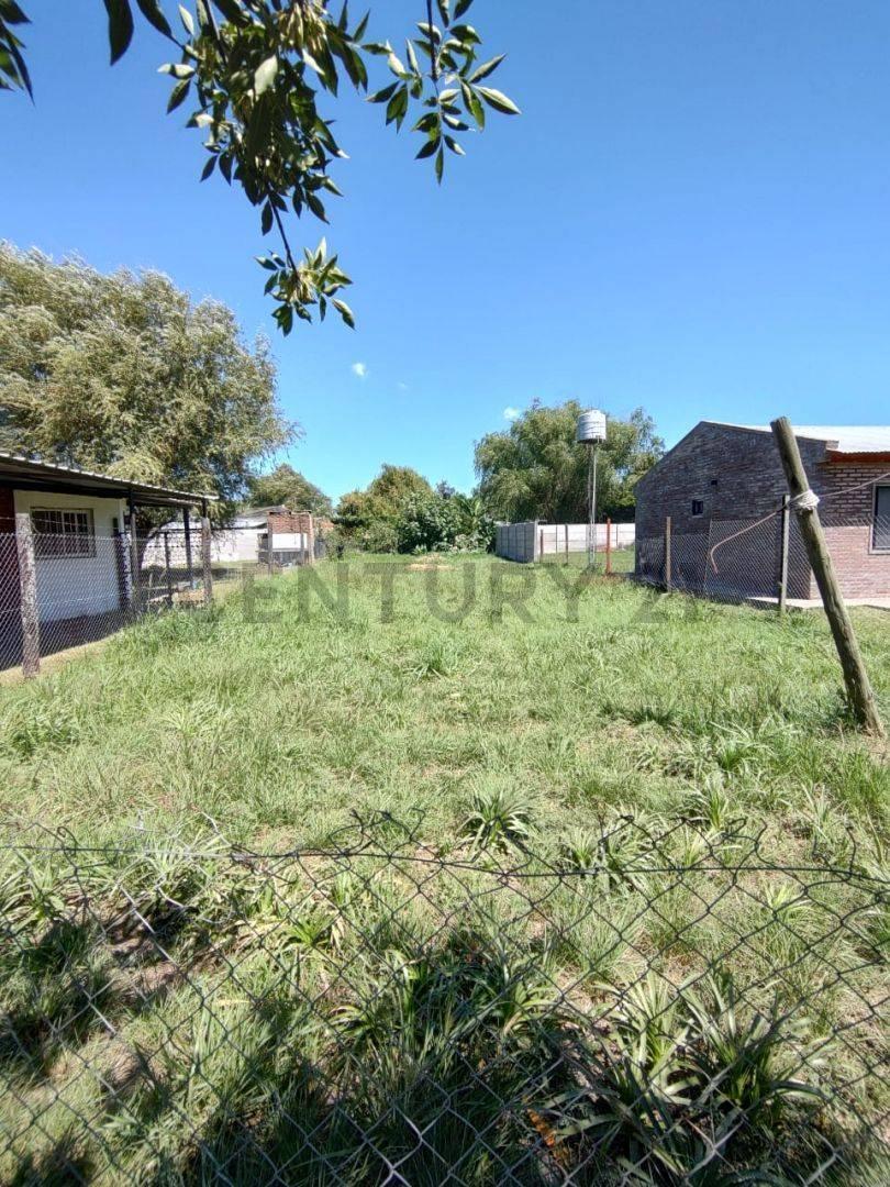 Foto de VENTA TERRENO EN ANDINO, imagen 4