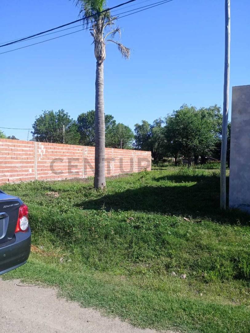 Foto de Venta - Terreno - Gessler, imagen 1