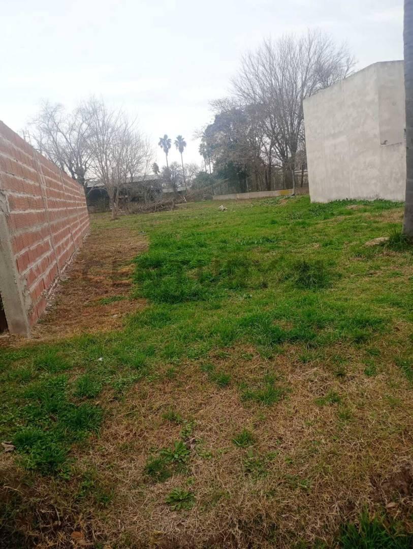 Foto de Venta - Terreno - Gessler, imagen 3