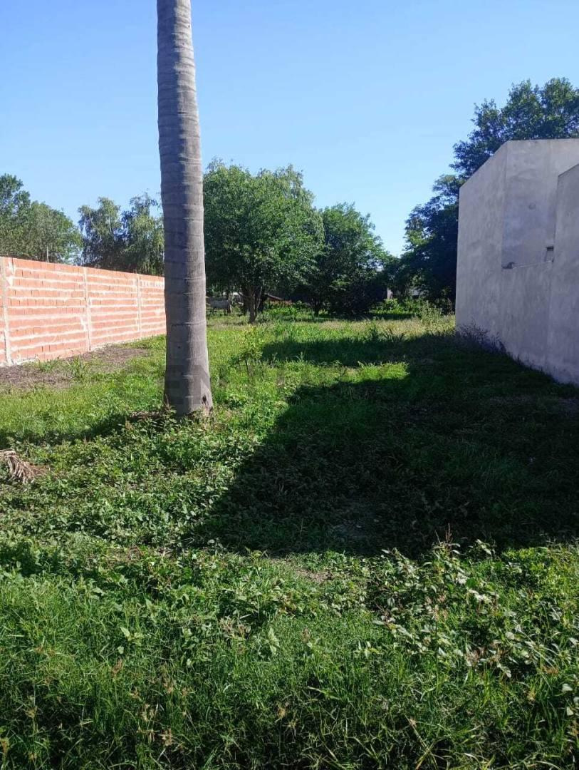Foto de Venta - Terreno - Gessler, imagen 4