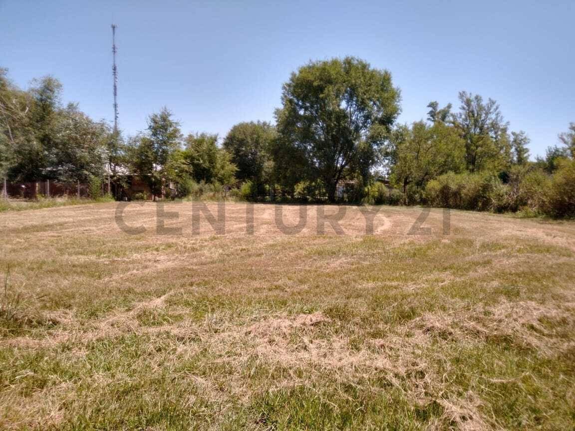 Foto de OPORTUNIDAD INVERSION TERRENOS EN OLIVEROS, imagen 1