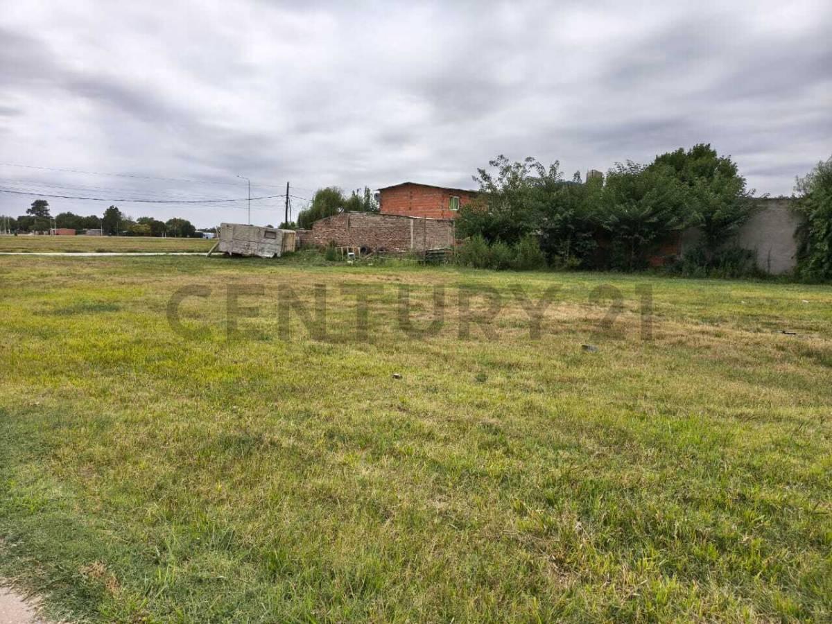 Foto de VENTA TERRENOS TIMBUES, imagen 3