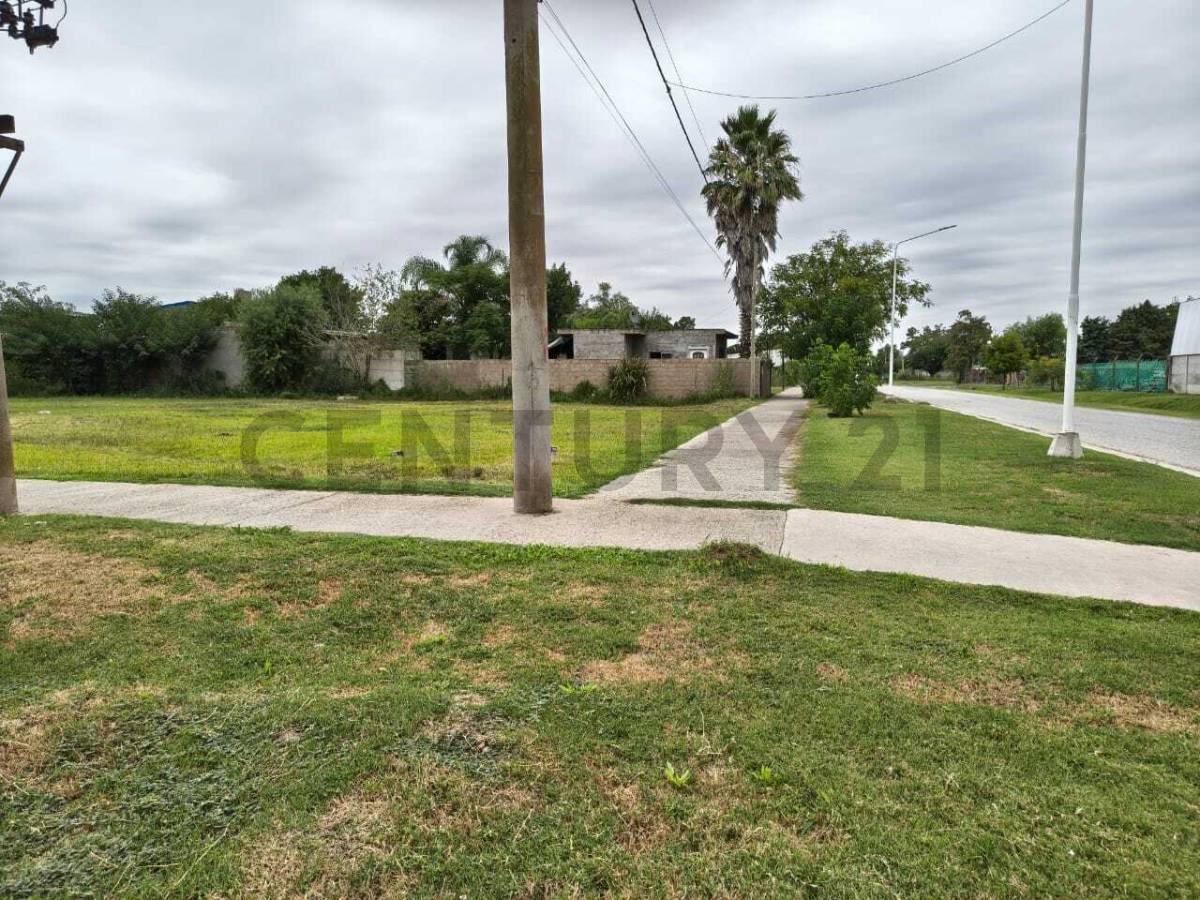 Foto de VENTA TERRENOS TIMBUES, imagen 2