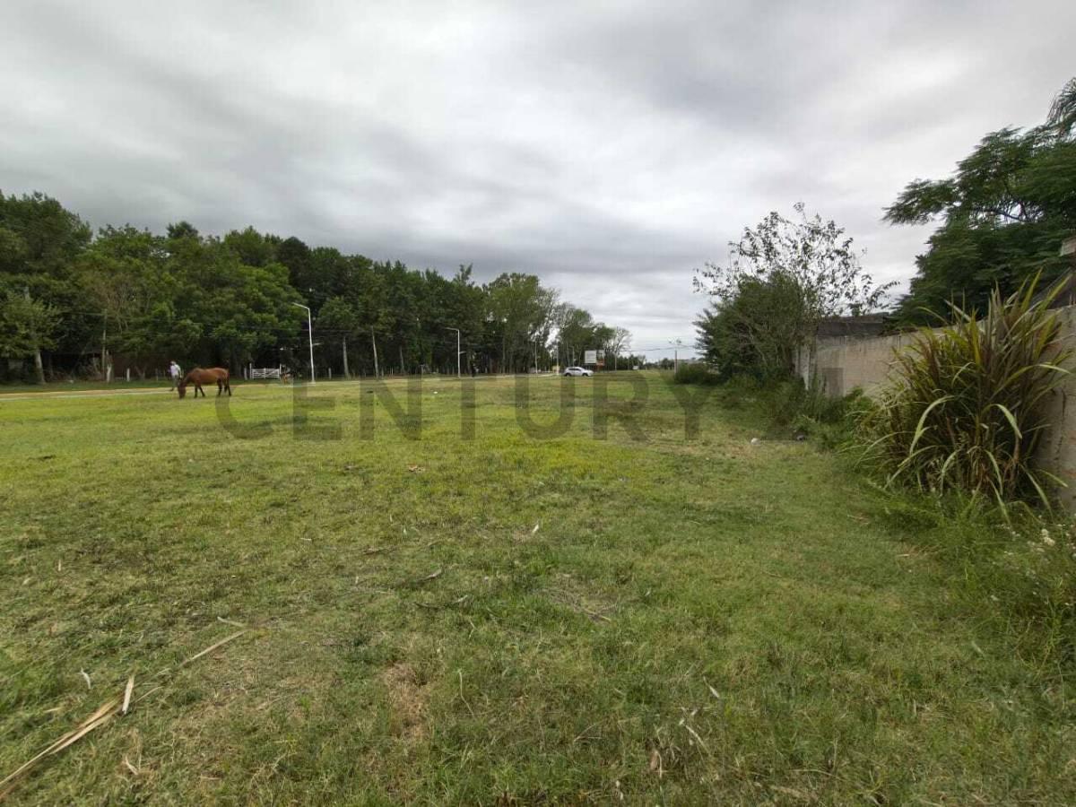 Foto de VENTA TERRENOS TIMBUES, imagen 1