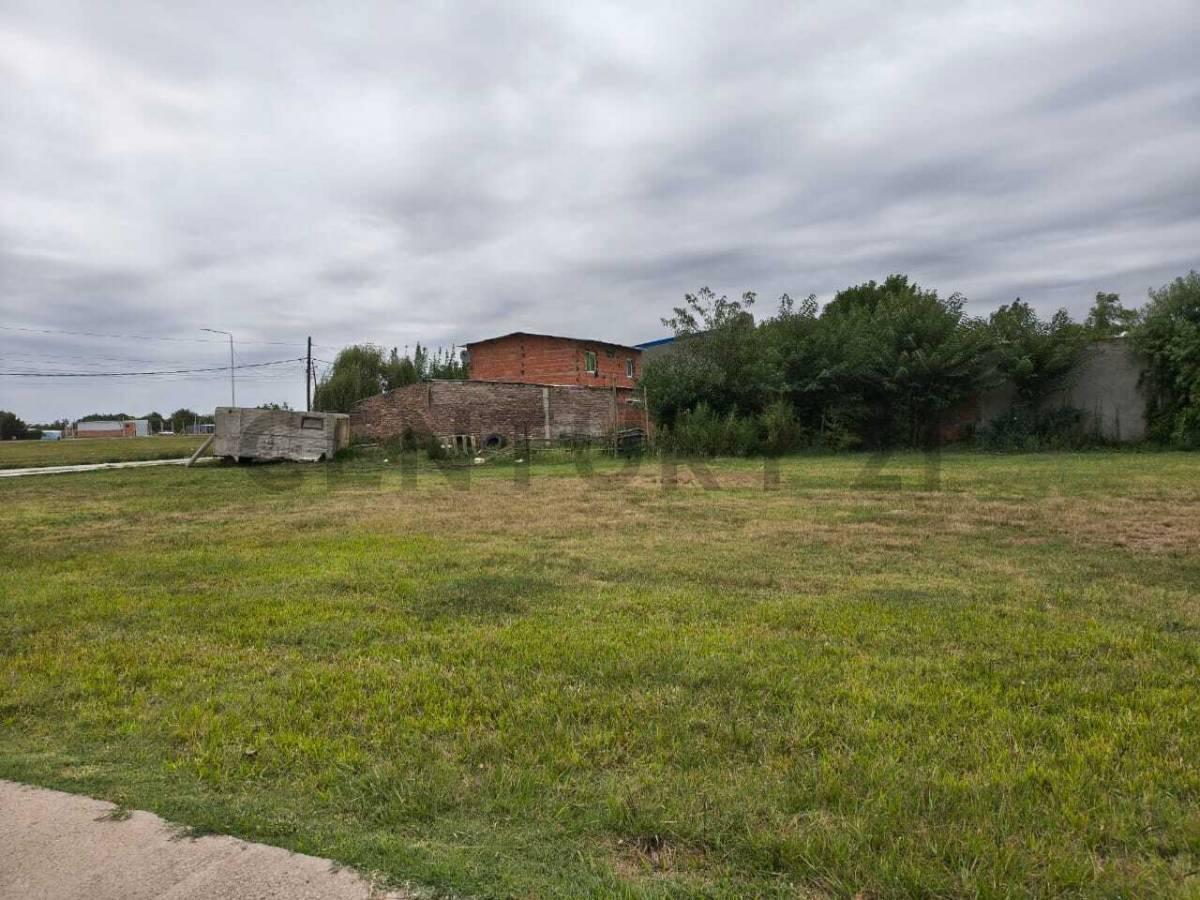 Foto de VENTA TERRENOS TIMBUES, imagen 4