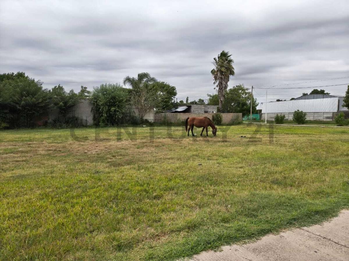 Foto de VENTA TERRENOS TIMBUES, imagen 5
