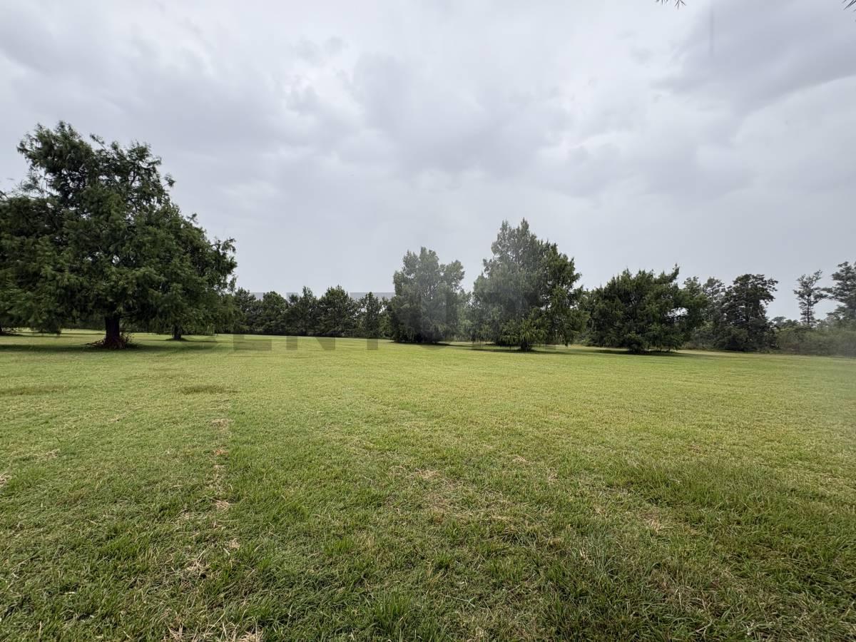 Foto de TERRENO EN VENTA EN CASAS DE CAMPO - OLIVEROS, imagen 4