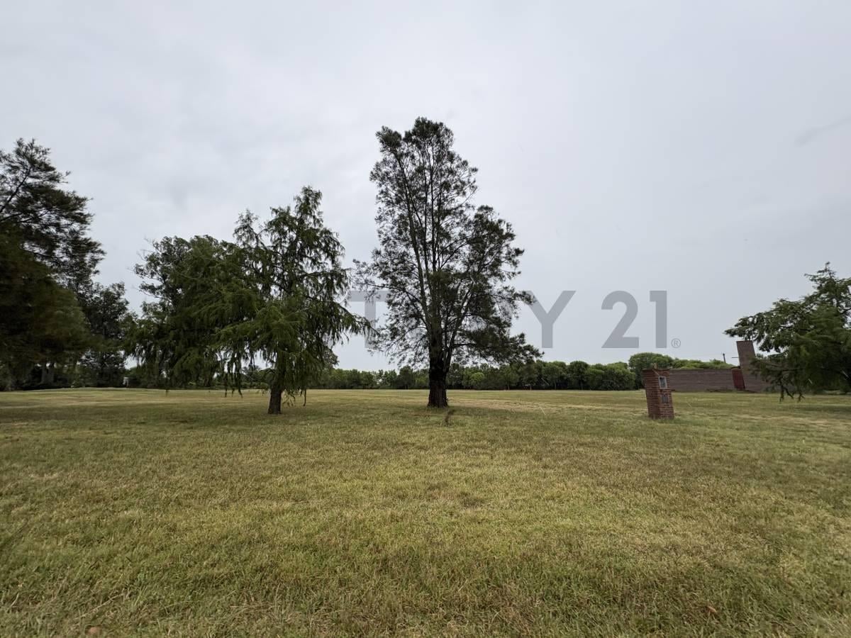 Foto de TERRENO EN VENTA EN CASAS DE CAMPO - OLIVEROS, imagen 3