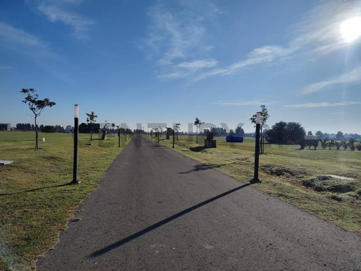 Foto de VENTA - TERRENOS EN LOS PASOS 3 - Funes, imagen 5