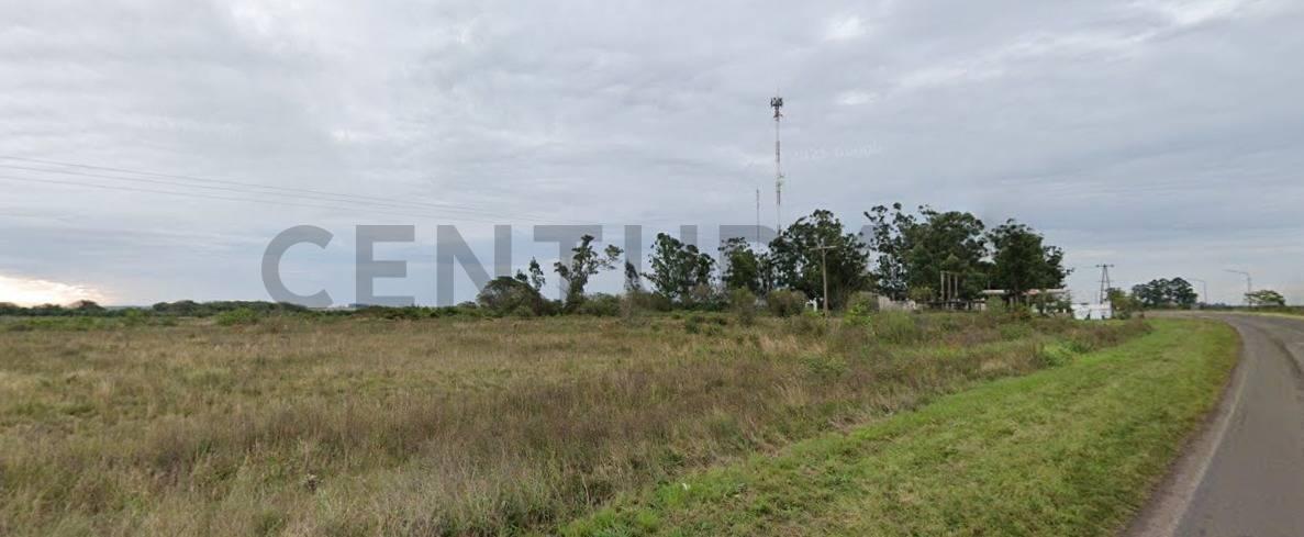 Foto de Campo en venta, sobre ruta 27, Desmanchado, Bella Vista., imagen 4