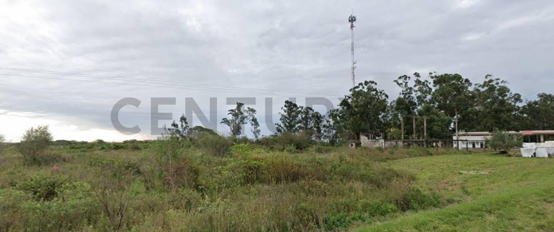 Foto de Campo en venta, sobre ruta 27, Desmanchado, Bella Vista., imagen 3