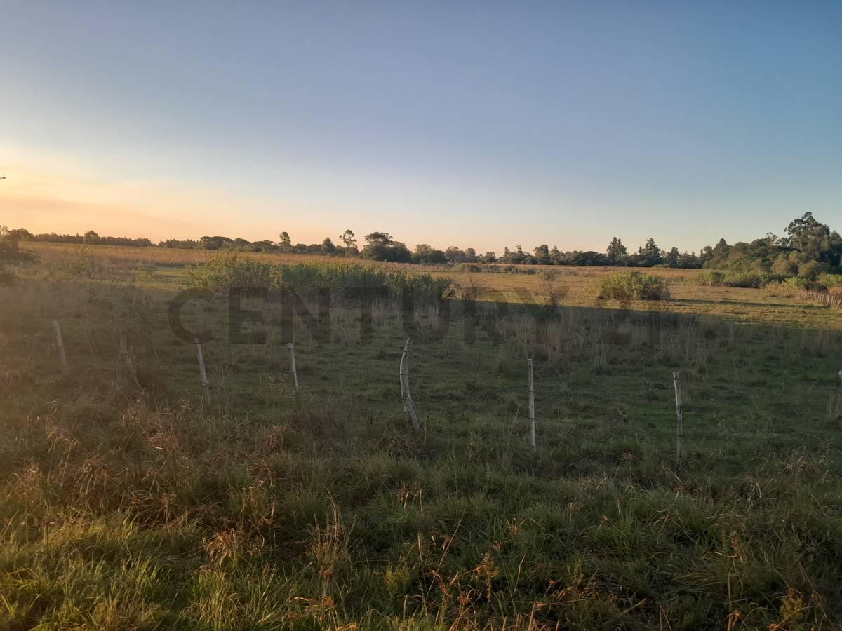 Foto de Venta - Campo Citrícola/Hortícola - Ganadero - Bella Vista - Corrientes, imagen 1