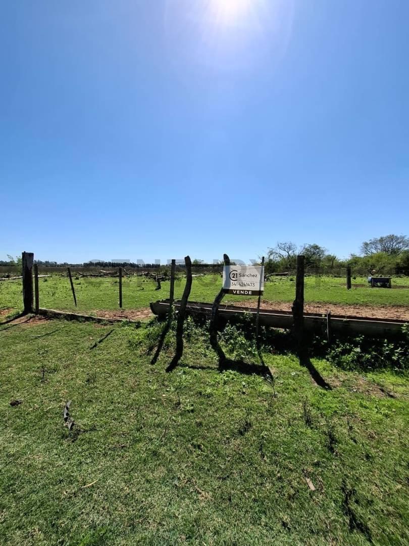 Foto de Venta - Campo Citrícola/Hortícola - Ganadero - Bella Vista - Corrientes, imagen 2