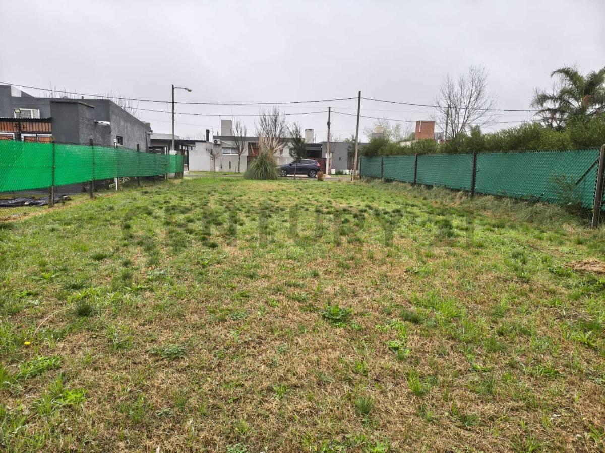 Foto de VENTA TERRENO ROLDAN ESCRITURADO, imagen 2