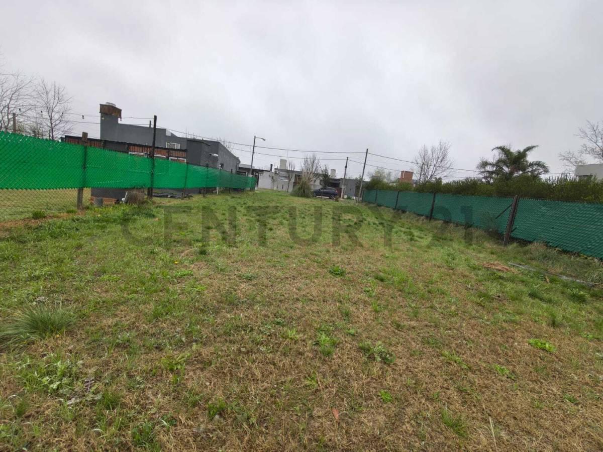 Foto de VENTA TERRENO ROLDAN ESCRITURADO, imagen 5