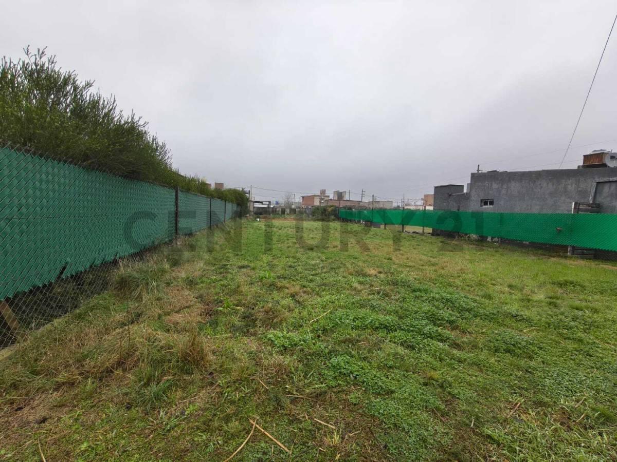 Foto de VENTA TERRENO ROLDAN ESCRITURADO, imagen 4