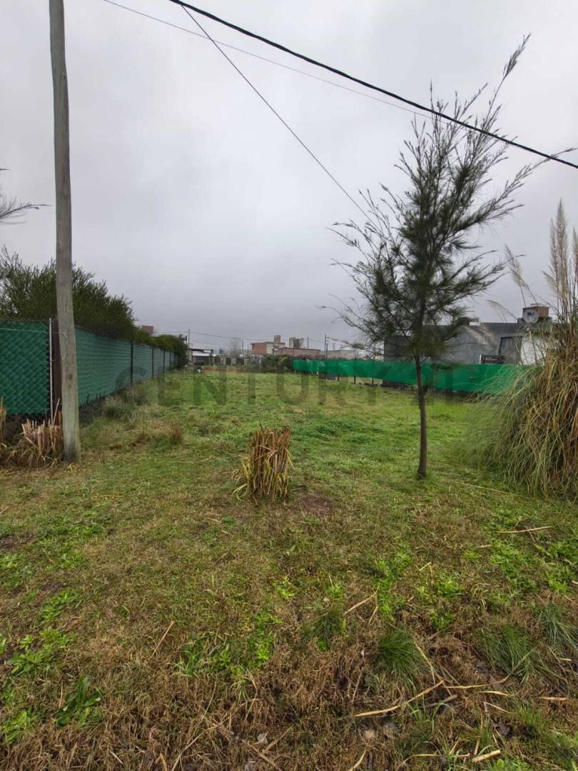 Foto de VENTA TERRENO ROLDAN ESCRITURADO, imagen 3