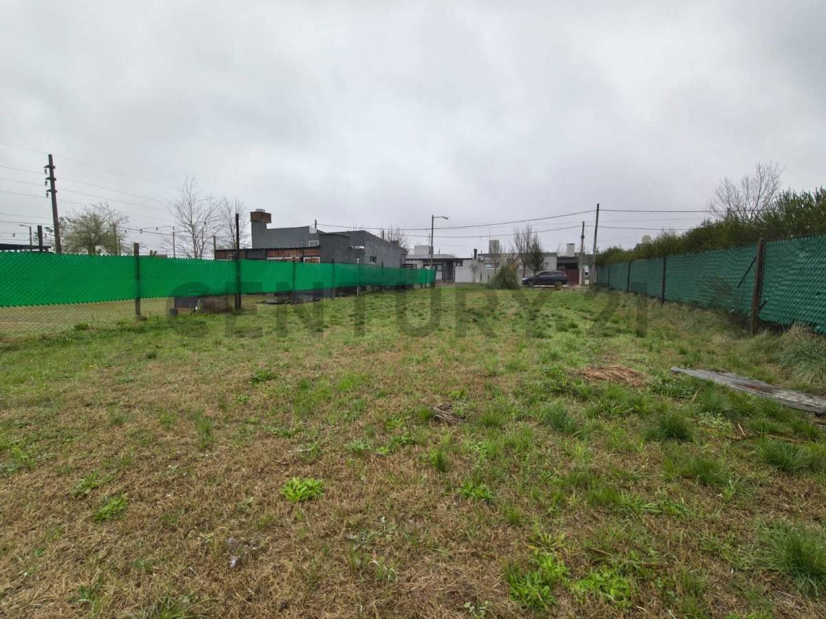 Foto de VENTA TERRENO ROLDAN ESCRITURADO, imagen 1