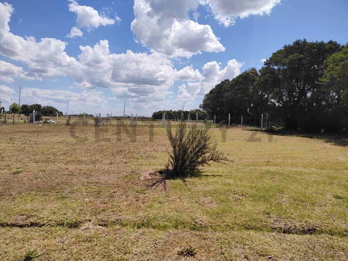 Foto de VENTA TERRENO ECOTIERRA PUEBLO ESTHER, imagen 1