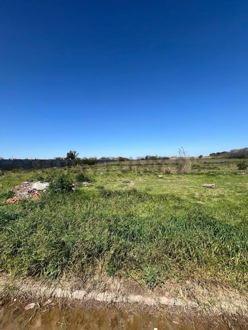 Foto de VENTA - PEREZ - 3 HECTAREAS - Ubicación Estratégica y Gran Potencial, imagen 1
