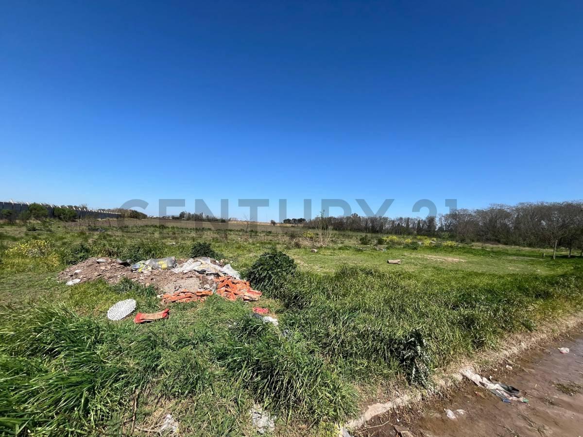 Foto de VENTA - PEREZ - 3 HECTAREAS - Ubicación Estratégica y Gran Potencial, imagen 5