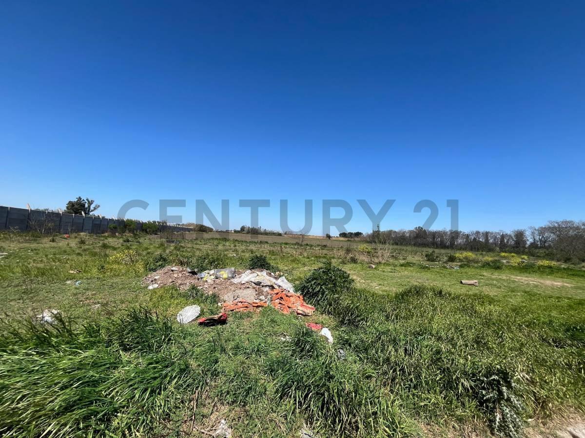 Foto de VENTA - PEREZ - 3 HECTAREAS - Ubicación Estratégica y Gran Potencial, imagen 4