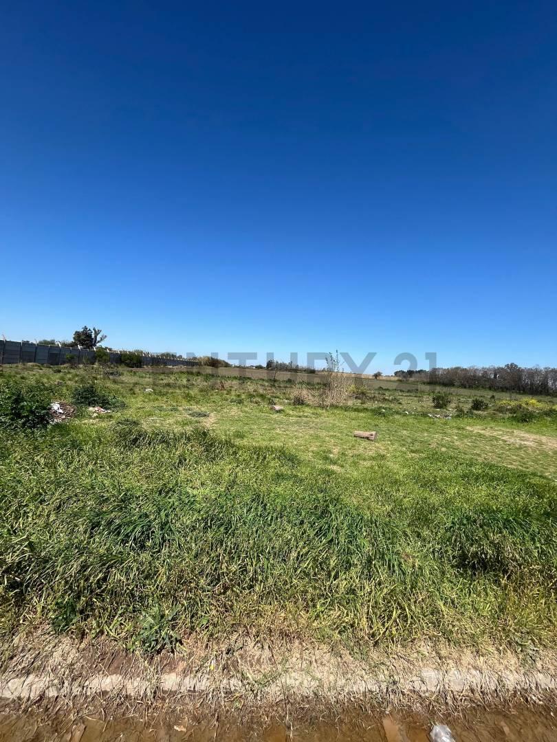 Foto de VENTA - PEREZ - 3 HECTAREAS - Ubicación Estratégica y Gran Potencial, imagen 2