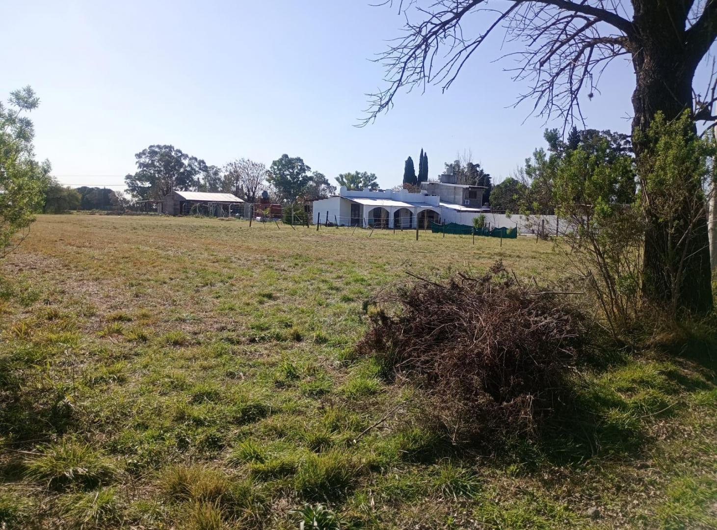 Foto de ADMIRABLE TERRENO EN RIOSOL, imagen 5