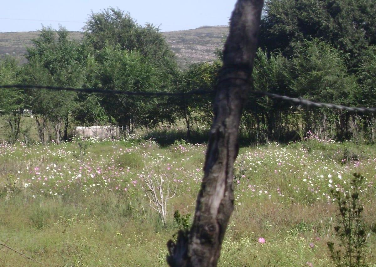 Venta. Terrenos, Lotes. La Cumbre. Córdoba. Posibilidad de Subdivisión. 2
