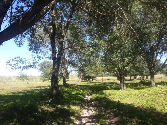 Venta. Terrenos, Lotes. La Cumbre. Córdoba. Posibilidad de Subdivisión. 1
