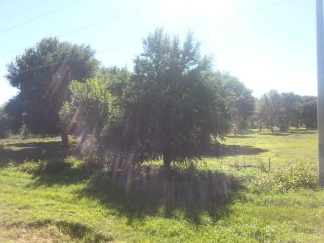 Venta. Terrenos, Lotes. La Cumbre. Córdoba. Posibilidad de Subdivisión. 3