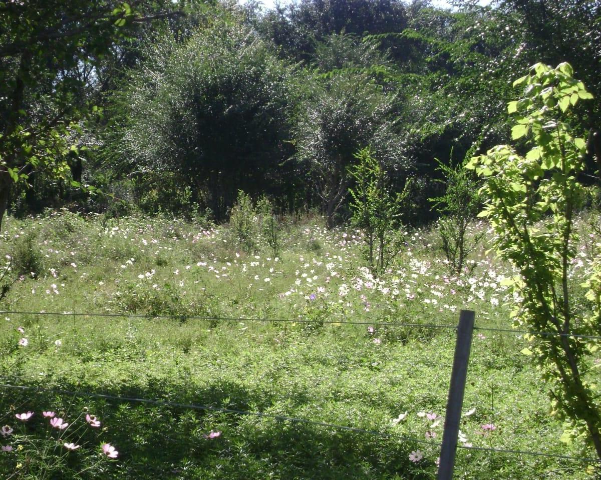 Venta. Terrenos, Lotes. La Cumbre. Córdoba. Posibilidad de Subdivisión. 4