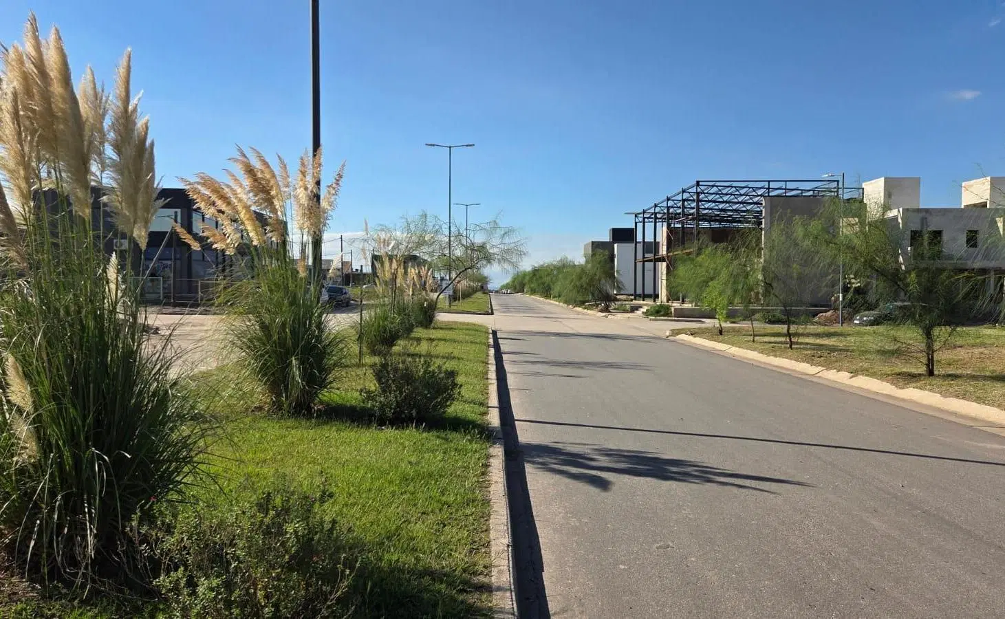 Venta Lote Docta Avenida Apto Comercial 3
