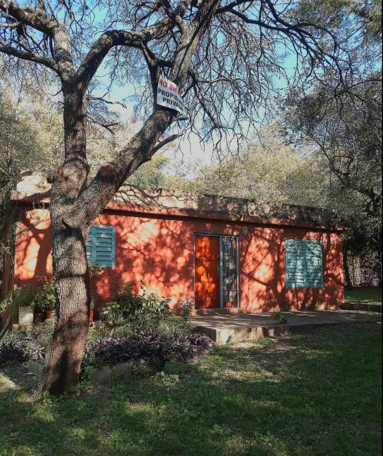 Foto de Alquiler Casa en Cabana, imagen 2