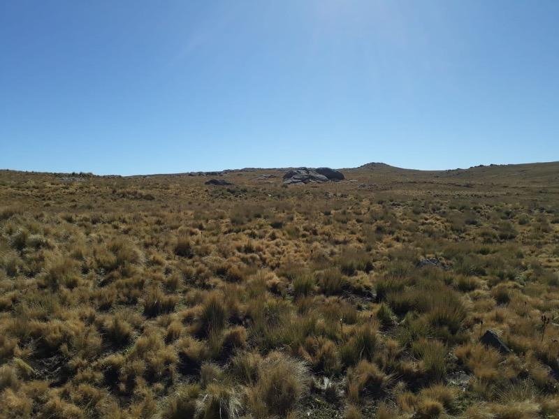 650 Hectáreas en Yacanto de Calamuchita - Tlc0445 4