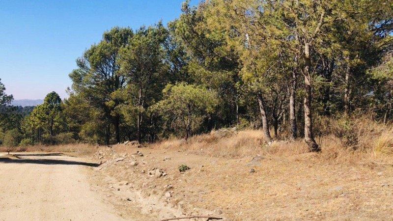 Venta de Hectárea Punto Comercial - Tlc0441 2