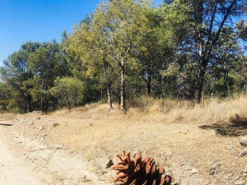 Venta de Hectárea Punto Comercial - Tlc0441 5